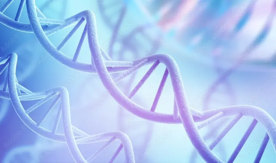 DNA fragmentace spermií